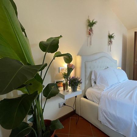 Montecchi House Lägenhet Verona Exteriör bild