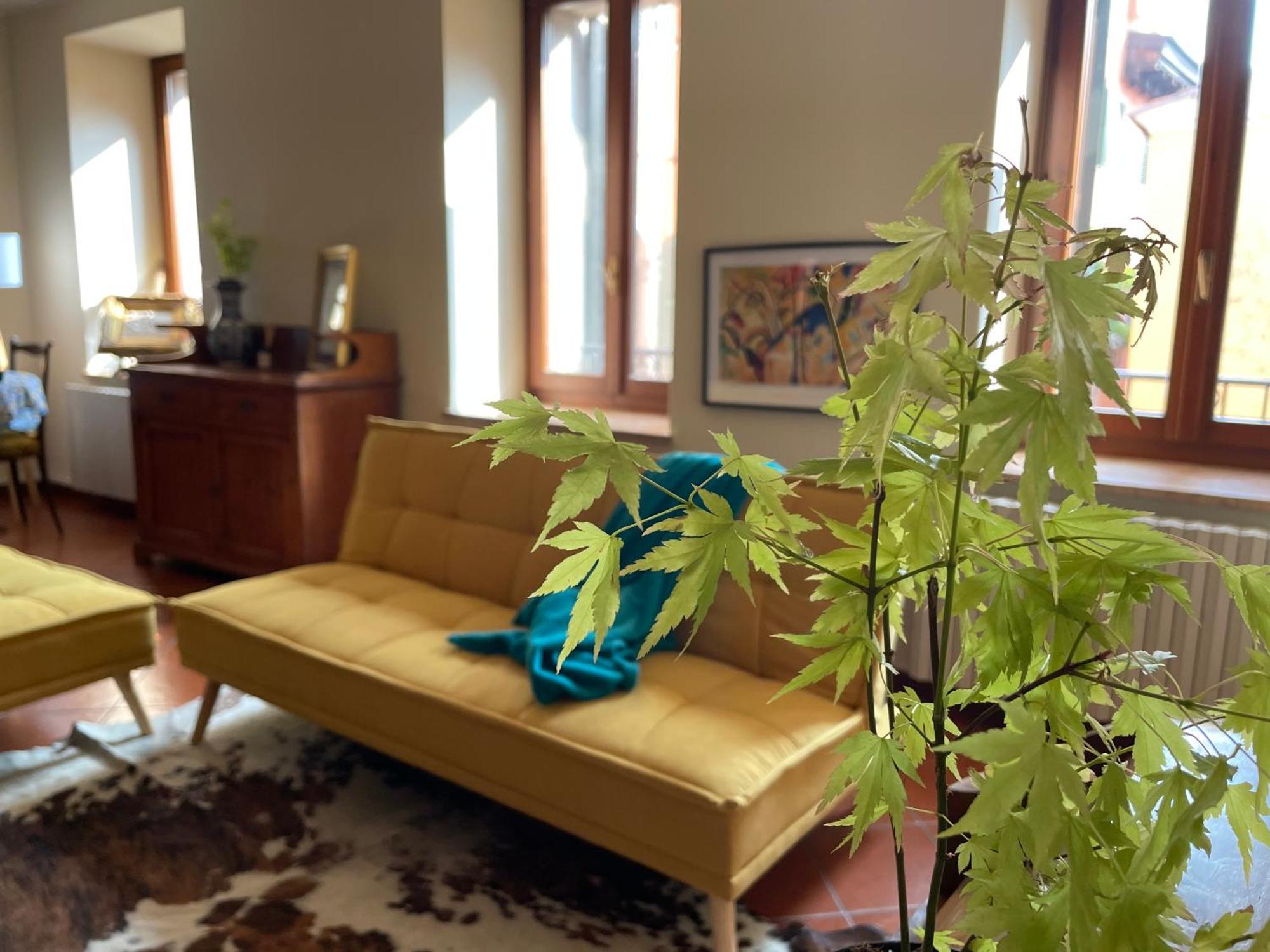 Montecchi House Lägenhet Verona Exteriör bild